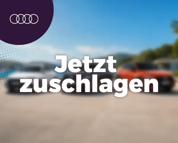 Audi GW Plus Sommerleasing